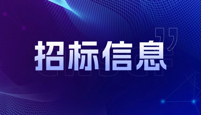 这家新银行500万供应链金融项目招标！
